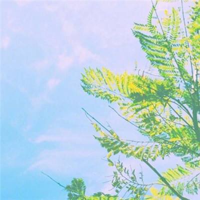 超能继承者内购破解版下载